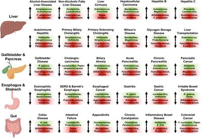 Editorial: The Microbiome in Hepatobiliary and Intestinal Disease